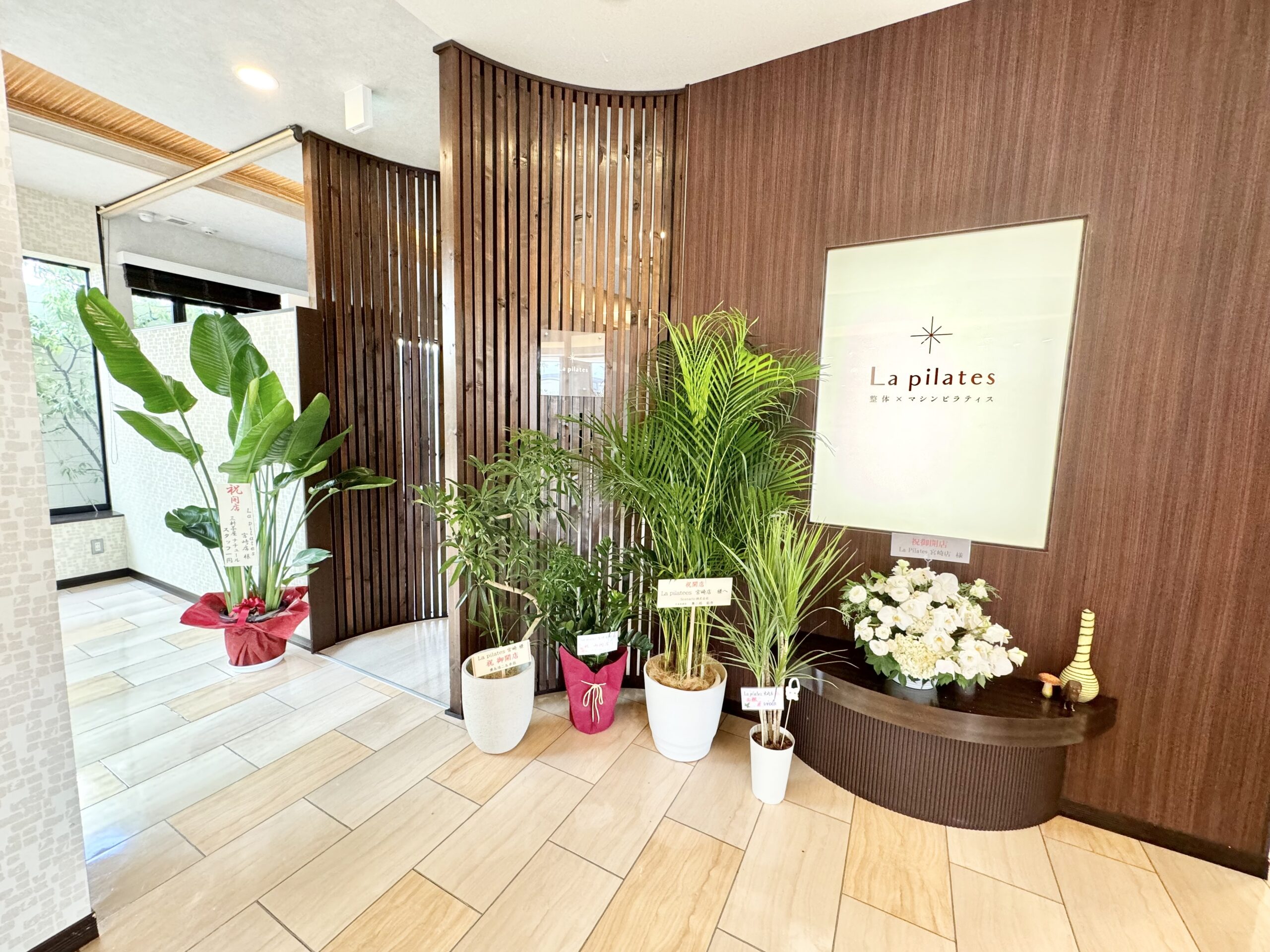植物が多く癒される宮崎店スタジオ